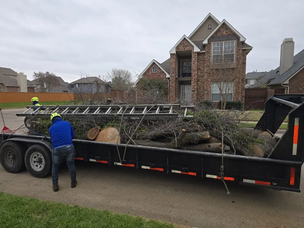 Expert Tree Fertilization with proper safety equipment in Heartwell
